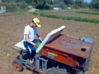Plantat