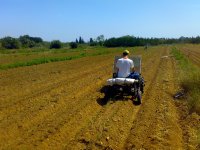 Plantat